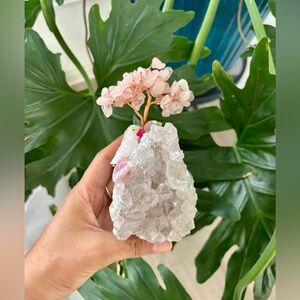 Rose quartz tree & parrot on Amethyst cluster